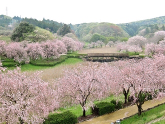 常陸風土記の丘