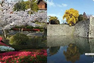 八代城跡公園：セレクトロイヤル八代周辺情報