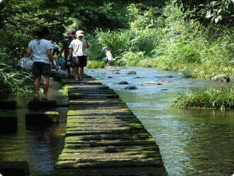 源兵衛川（せせらぎ散歩）：ホテルセレクトイン三島