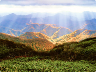 白神山地：ロイヤルホテル大館