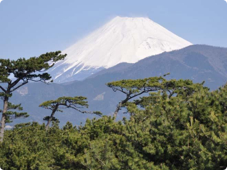 千本松：ホテルセレクトイン沼津