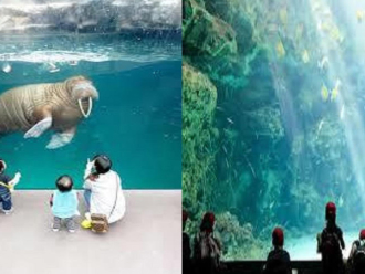 アクアマリンふくしま：ホテルセレクトインいわき駅前