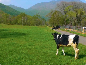 戸隠牧場 - 戸隠キャンプ場：ホテルセレクトイン長野