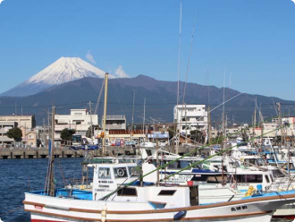 沼津港：ホテルセレクトイン沼津