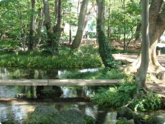 白滝公園：ホテルセレクトイン三島