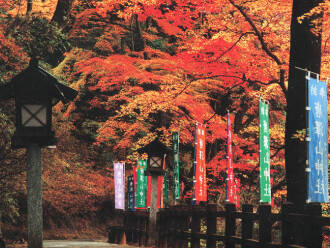 唐沢：ホテルセレクトイン佐野駅前