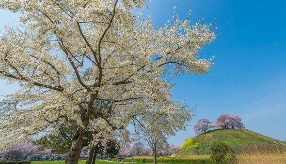 さきたま古墳公園【埼玉県行田市】：ザ・セレクトン大宮快速・北本駅前周辺情報