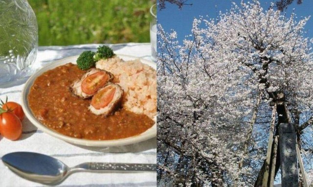 北本ってこんな街：ザ・セレクトン大宮快速・北本駅前周辺情報