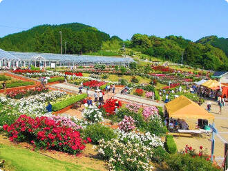ばらの丘公園：ホテルセレクトイン島田駅前