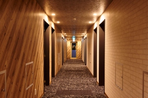 廊下：ザ・セレクトンあべの松原駅前　