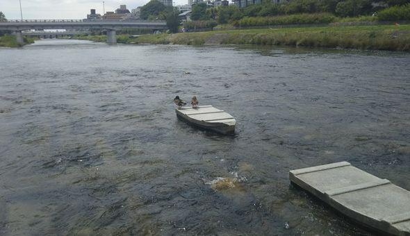 鴨川：ザ・セレクトン京都堀川三条周辺情報
