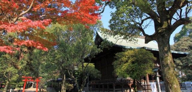 久留米城跡（篠山神社）：ザ・セレクトン久留米