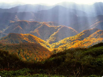 白神山地：アネックスロイヤルホテル周辺情報
