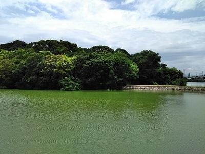 【松原市の名所】河内大塚山古墳：ザ・セレクトンあべの松原駅前周辺情報