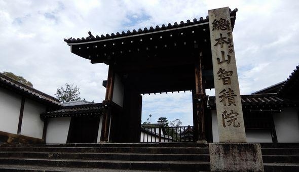 智積院（ちしゃくいん）：ザ・セレクトン京都堀川三条周辺情報
