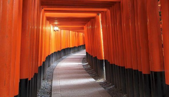 伏見稲荷大社：ザ・セレクトン京都堀川三条周辺情報