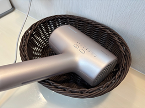 ドライヤー：ロイヤルホテル大館