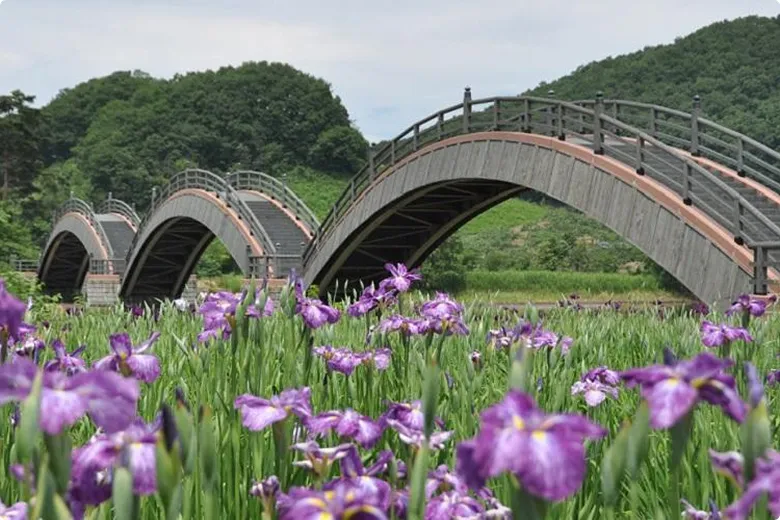平安の風わたる公園：横手セントラルホテル周辺情報