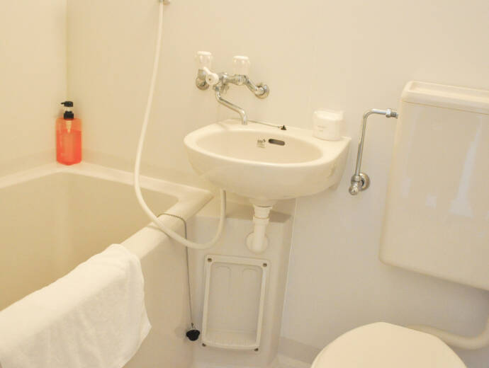 写真：ホテルセレクトイン埼玉毛呂山 客室 2